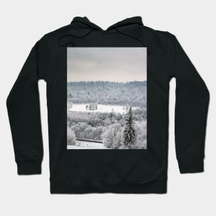 Snowy-bound view Hoodie